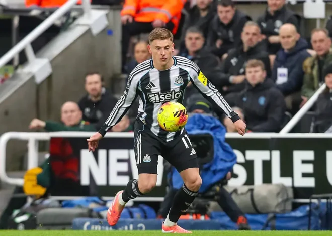 Newcastle Typy, Kursy, Zakłady 14.12.2025