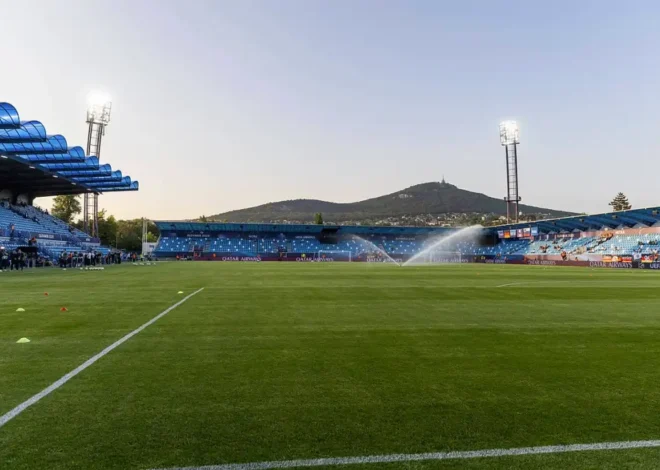 Santa Clara – Estoril Praia Typy, Kursy, Zakłady 31.01.2026