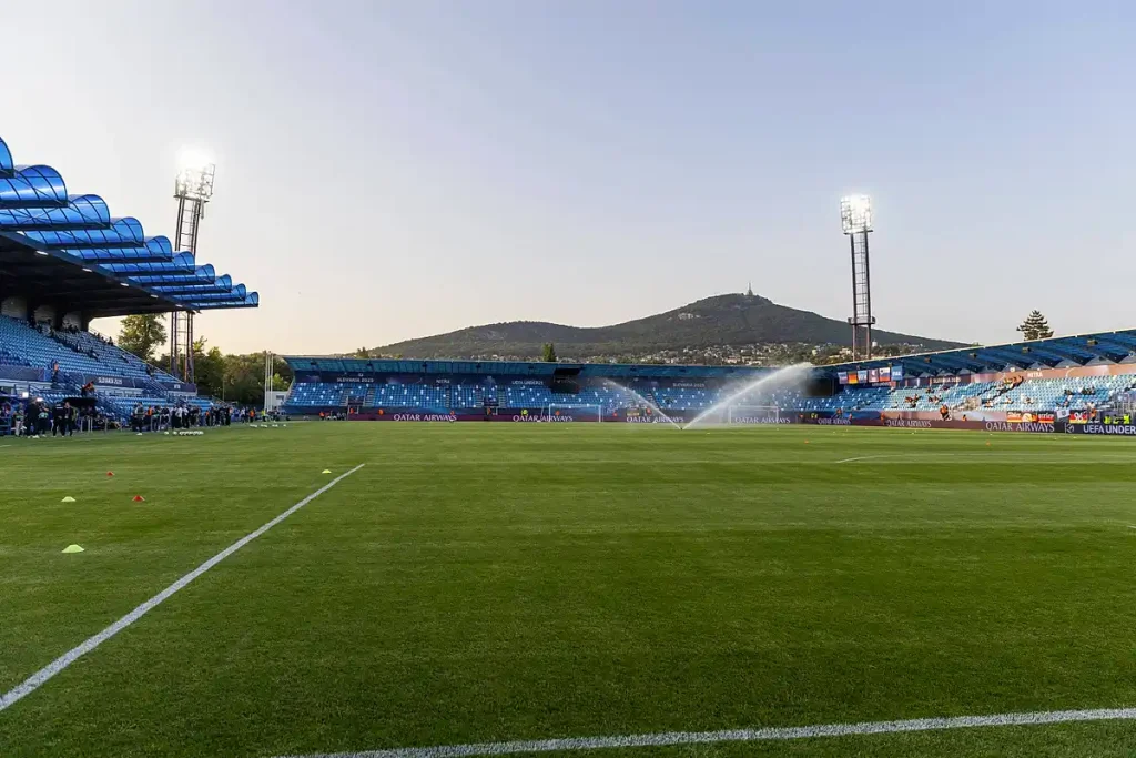 Santa Clara – Estoril Praia Typy, Kursy, Zakłady 31.01.2026