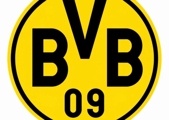 Joey Veerman oficjalnie w Borussii Dortmund